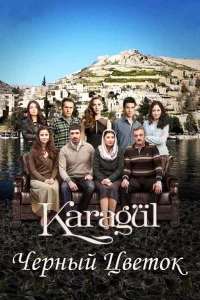 Черный цветок (2013)